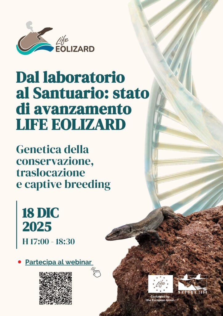 locandina-evento-life-eolizard-18-dicembre-2025