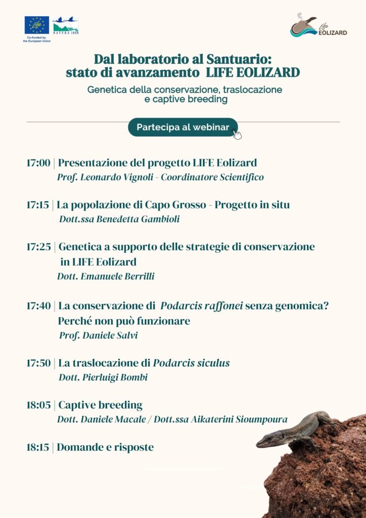 agenda-evento-life-eolizard-18-dicembre-2025