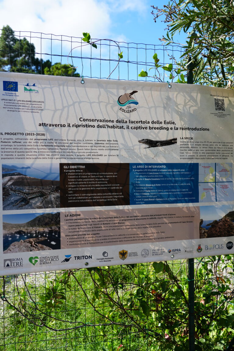 Pannello descrittivo del progetto LIFE EOLIZARD