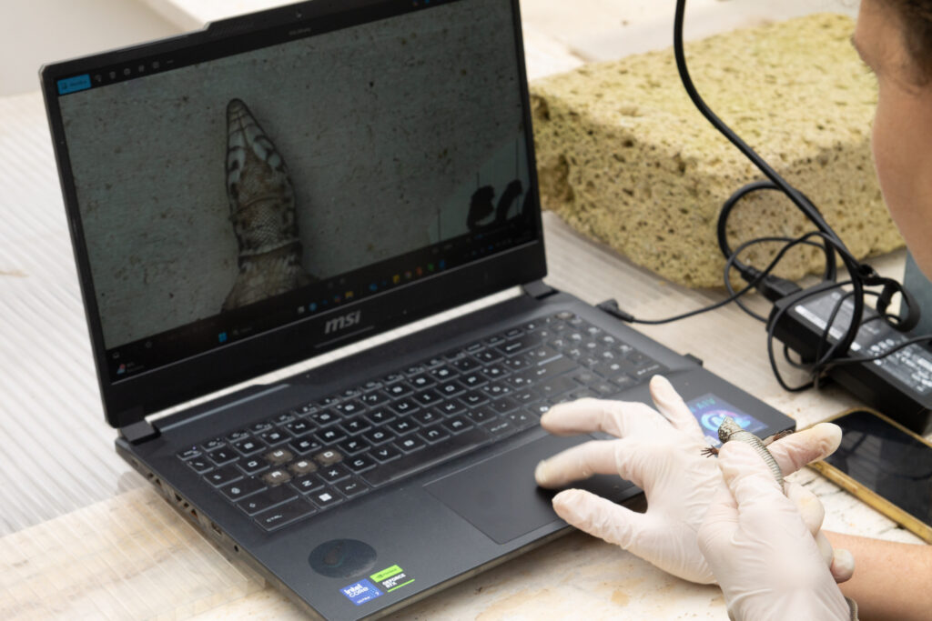 controllo-della-genetica