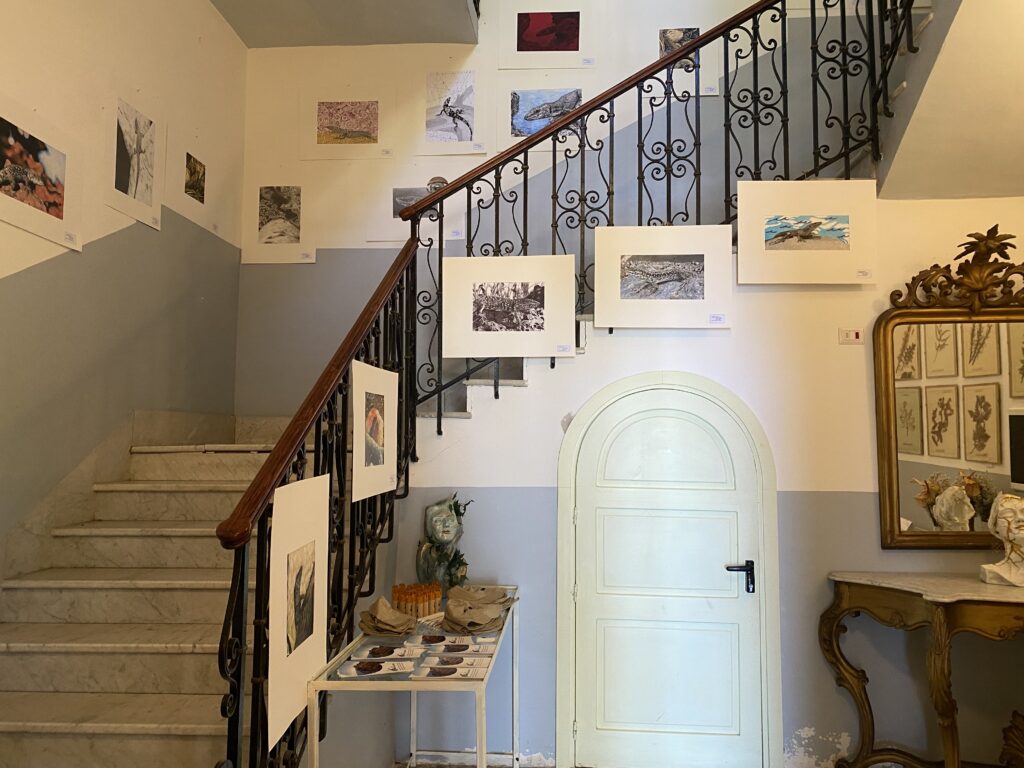 inaugurazione-mostra-salina