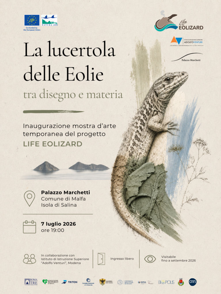 mostra-darte-life-eolizard