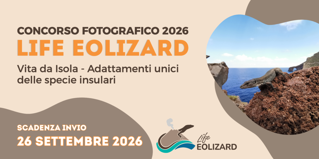 concorso-life-eolizard-2026